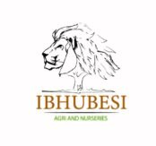 Ibhubesi Agri and Nurseries